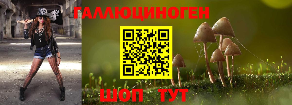 Галлюциногенные грибы Magic Shrooms Тимашёвск