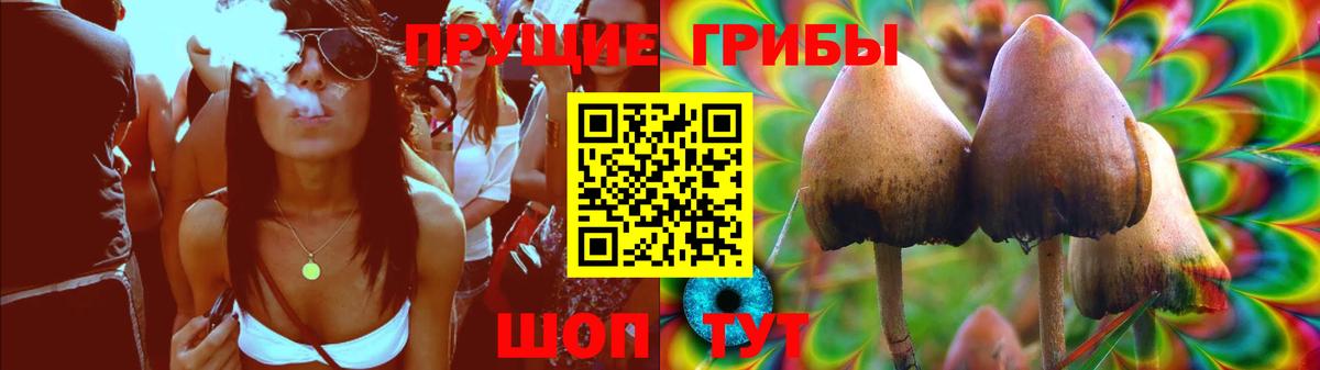 купить наркотик  Галлюциногенные грибы Magic Shrooms  Вход с VPN  Тимашёвск 